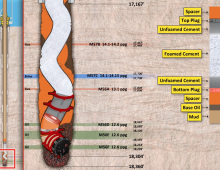 Petroleum Industry